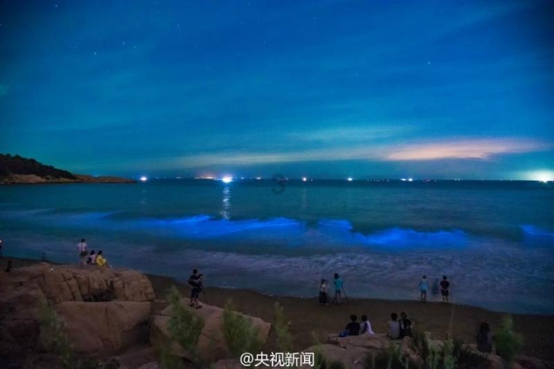恐龙绝地逃生